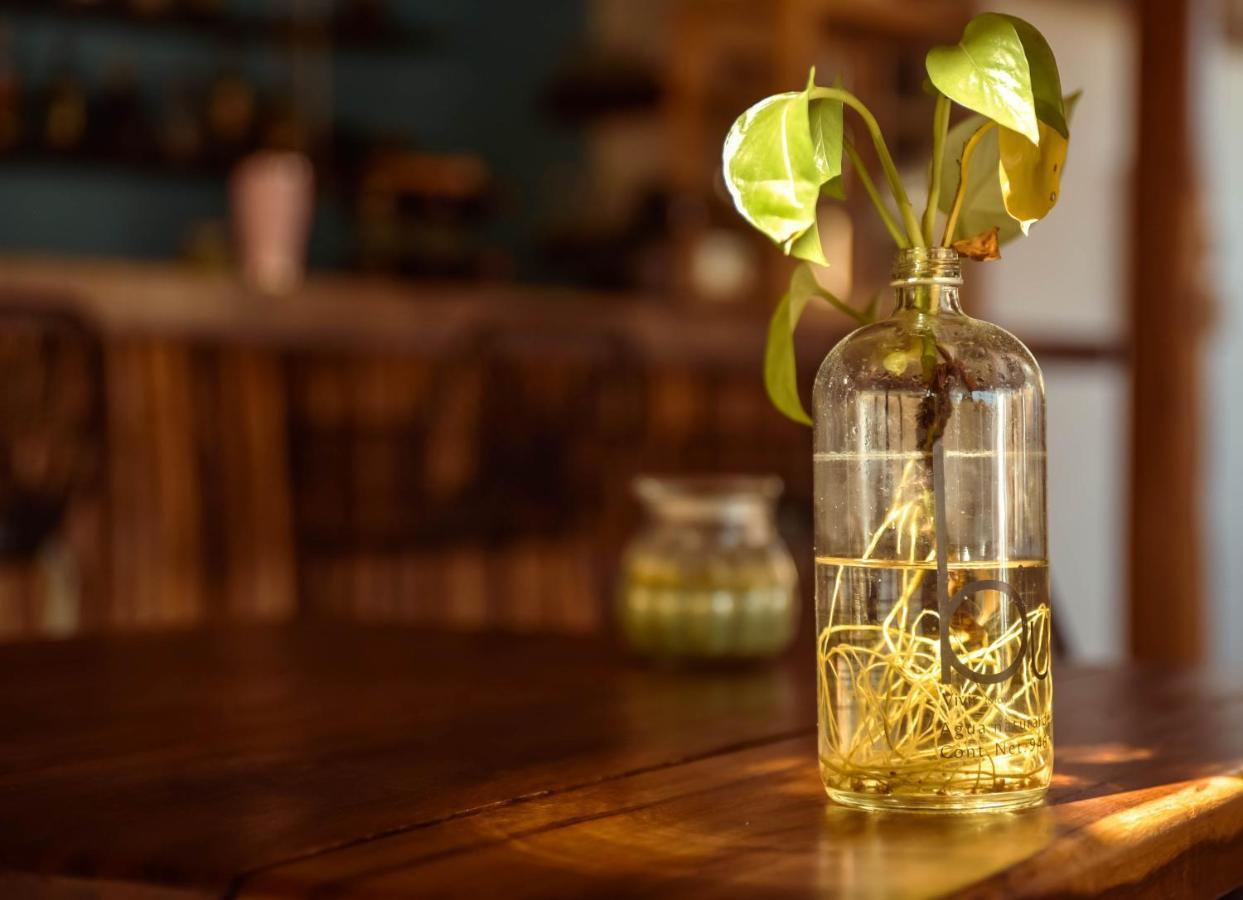Hotel Y Beach Club Casa Mia Xulha -Bacalar Xul-Ha 外观 照片